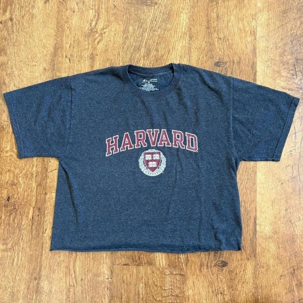 Champion Harvard University Logo Cropped T-Shirt Grey Medium Collegiate Y2K